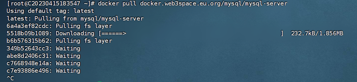 在docker里面的试试